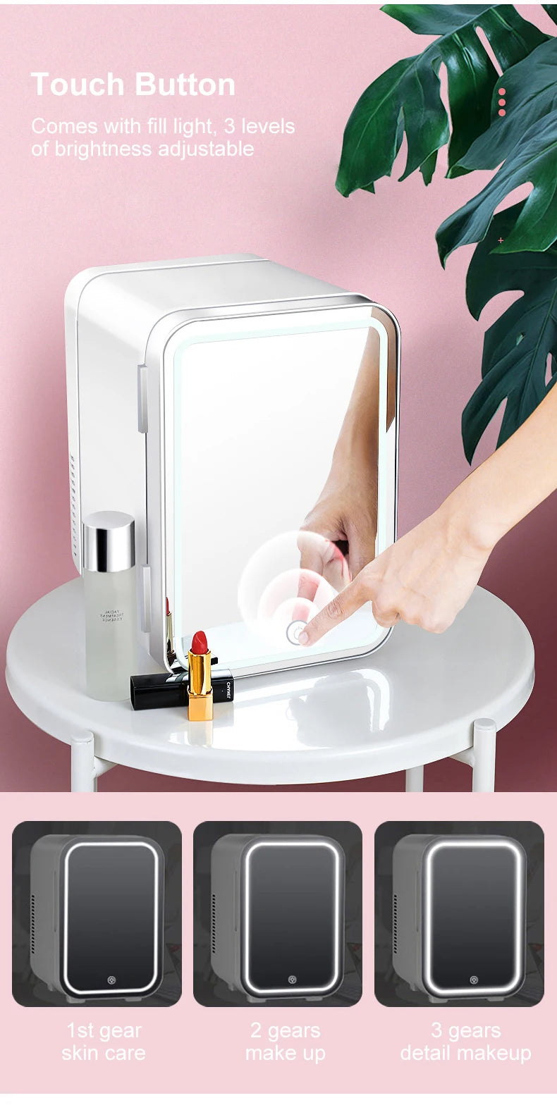4L Mini Makeup Fridge WIth LED Light Mirror Portable Cosmetic Storage Refrigerator Keep fresh Cooler for Home Car Dual Use