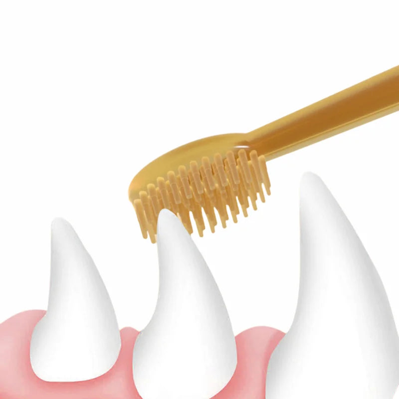 Pet Teeth Whitening Kit - Dual-Head Silicone Toothbrush & Enzymatic Paste for Dogs/Cats, Summer Oral Care Set