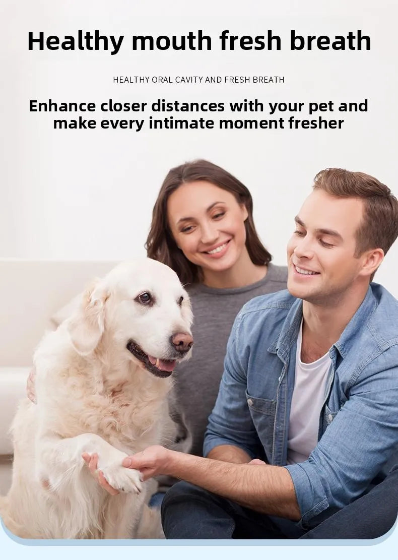 Pet Toothbrush Pen - Dog & Cat Dental Care Tool